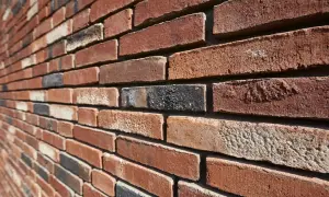 Czerwona, ceglana ściana z widocznymi nierównościami i różnymi odcieniami. Widać pojedyncze, ciemniejsze cegły, tworzące ciekawy wzór. Terca.
