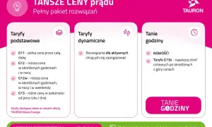 Tauron oferuje różne taryfy prądu: podstawowe (G11, G12, G12w, G13), dynamiczne i tanie godziny (G13s).