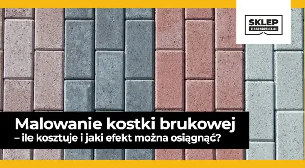 Malowanie kostki brukowej czy warto? Odkryj korzyści i pułapki