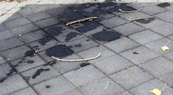Plamy oleju silnikowego na betonowej kostce brukowej. Jak usunąć plamy z oleju silnikowego z betonu? Na zdjęciu widać ciemne plamy i gałązki.