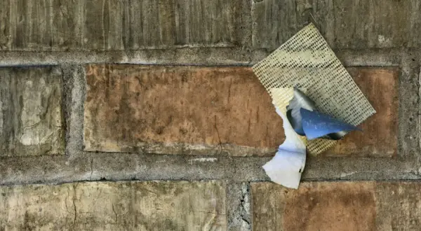 Stara ceglana ściana z fragmentami tynku i siatki. Ciekawi mnie, ile schnie cement, gdy tak się rozpada.