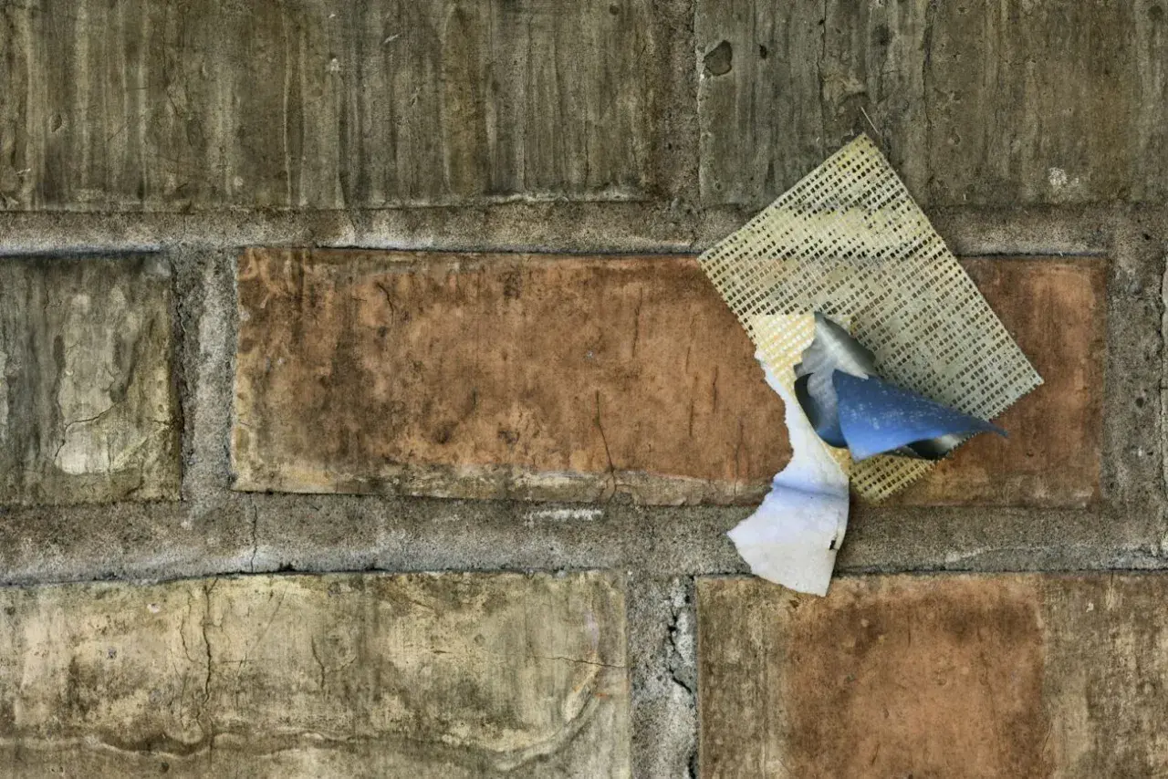 Stara ceglana ściana z fragmentami tynku i siatki. Ciekawi mnie, ile schnie cement, gdy tak się rozpada.