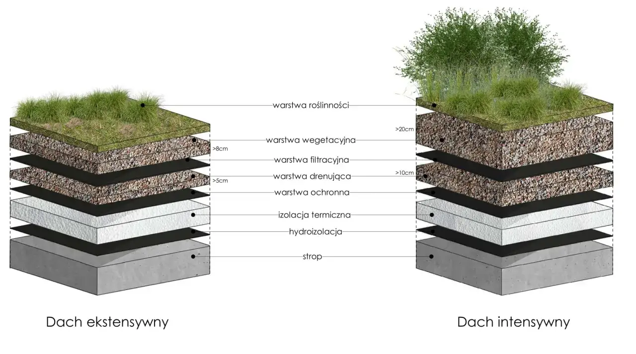 Dach intensywny z grubą warstwą wegetacji i roślinnością, pokazujący jego wielowarstwową budowę od stropu po roślinność.