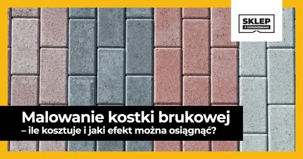 Malowanie kostki brukowej czy warto? Odkryj korzyści i pułapki